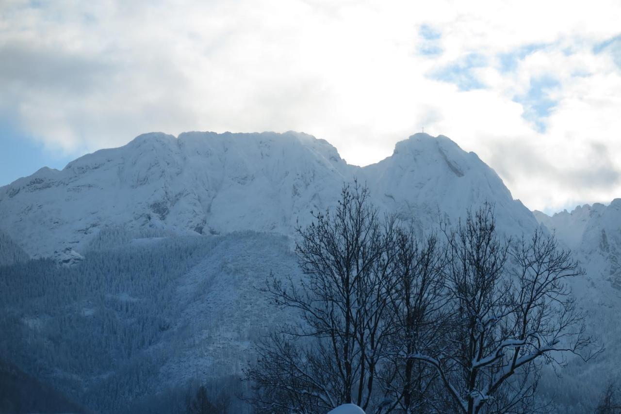 Pensjonat Jastrzebia Turnia Zakopane Kültér fotó